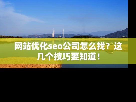 网站优化seo公司怎么找？这几个技巧要知道！