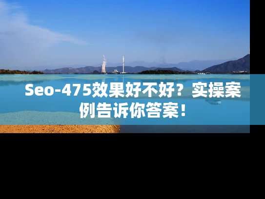 Seo-475效果好不好？实操案例告诉你答案！