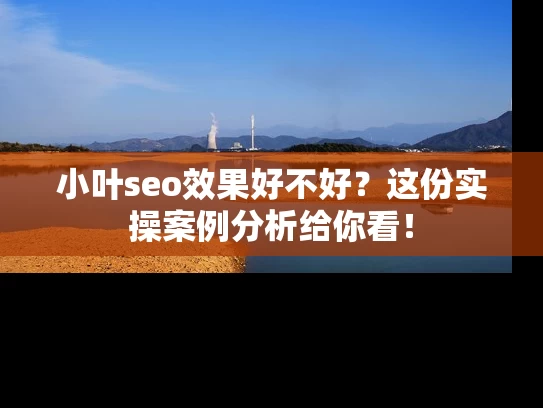 小叶seo效果好不好？这份实操案例分析给你看！