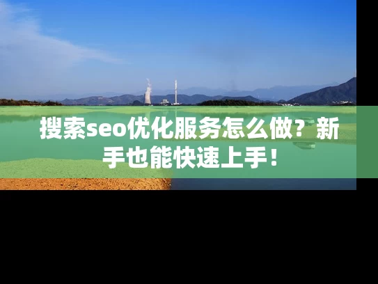 搜索seo优化服务怎么做？新手也能快速上手！