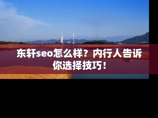 东轩seo怎么样？内行人告诉你选择技巧！