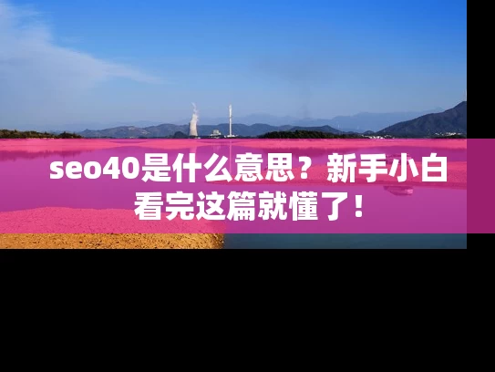 seo40是什么意思？新手小白看完这篇就懂了！