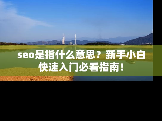 seo是指什么意思？新手小白快速入门必看指南！