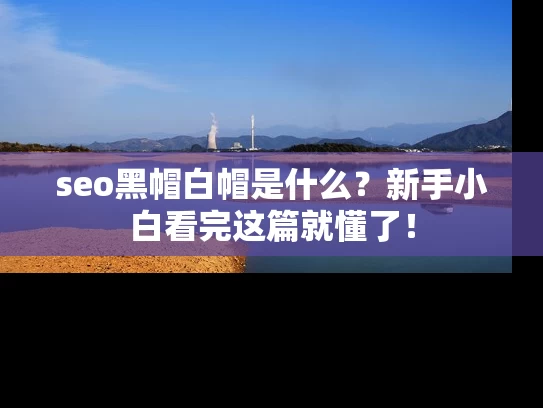 seo黑帽白帽是什么？新手小白看完这篇就懂了！