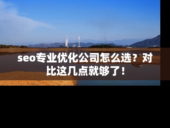seo专业优化公司怎么选？对比这几点就够了！