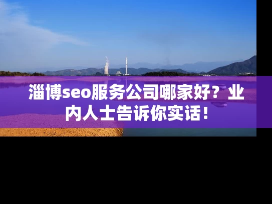 淄博seo服务公司哪家好？业内人士告诉你实话！