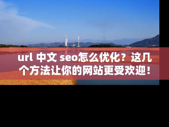 url 中文 seo怎么优化？这几个方法让你的网站更受欢迎！