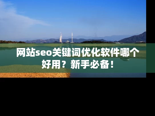 网站seo关键词优化软件哪个好用？新手必备！