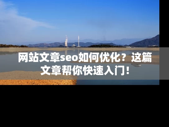 网站文章seo如何优化？这篇文章帮你快速入门！