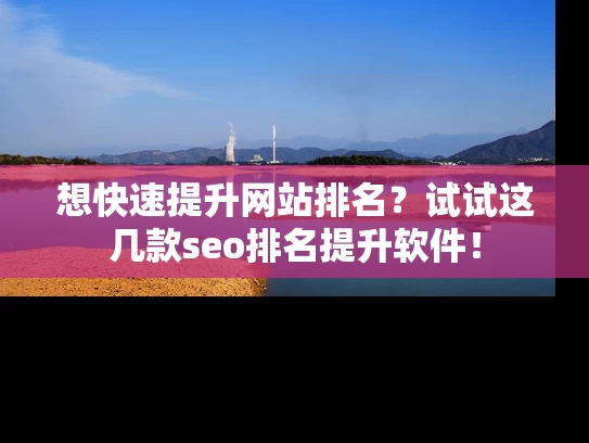想快速提升网站排名？试试这几款seo排名提升软件！