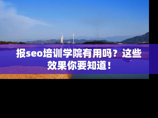 报seo培训学院有用吗？这些效果你要知道！