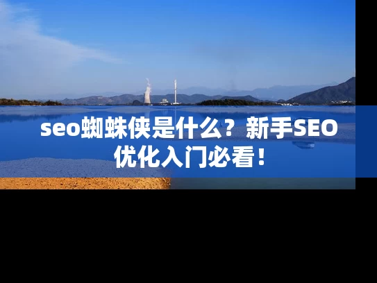 seo蜘蛛侠是什么？新手SEO优化入门必看！