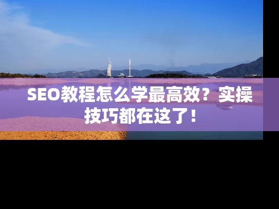 SEO教程怎么学最高效？实操技巧都在这了！