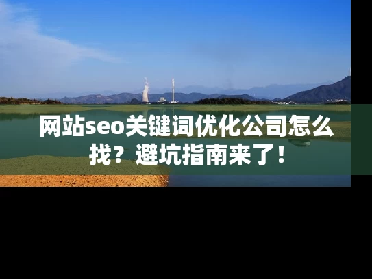 网站seo关键词优化公司怎么找？避坑指南来了！