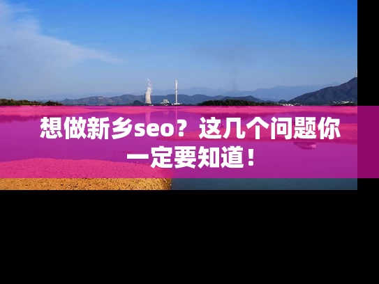 想做新乡seo？这几个问题你一定要知道！