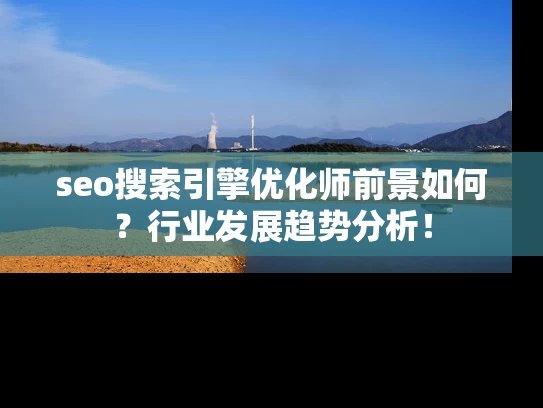 seo搜索引擎优化师前景如何？行业发展趋势分析！