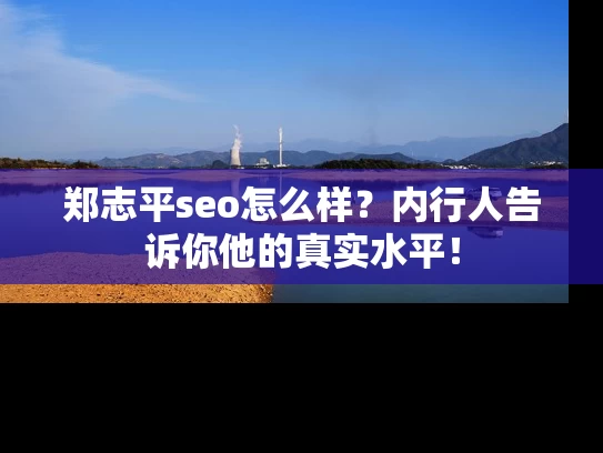 郑志平seo怎么样？内行人告诉你他的真实水平！