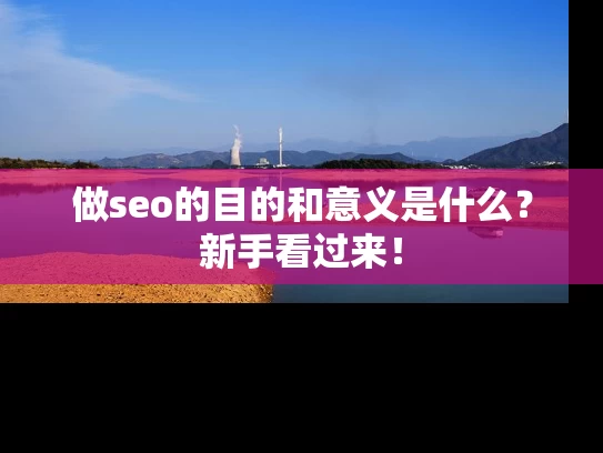 做seo的目的和意义是什么？新手看过来！
