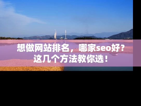 想做网站排名，哪家seo好？这几个方法教你选！