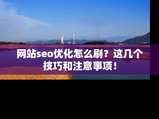 网站seo优化怎么刷？这几个技巧和注意事项！