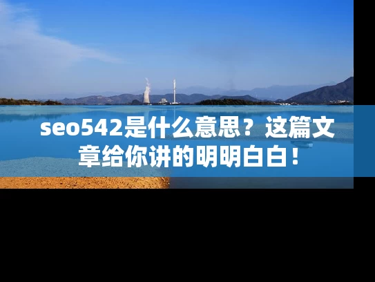 seo542是什么意思？这篇文章给你讲的明明白白！