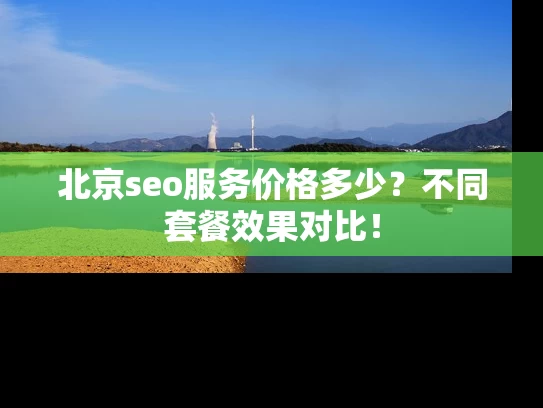 北京seo服务价格多少？不同套餐效果对比！