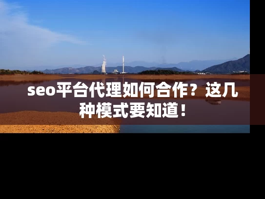 seo平台代理如何合作？这几种模式要知道！