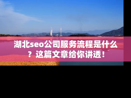 湖北seo公司服务流程是什么？这篇文章给你讲透！