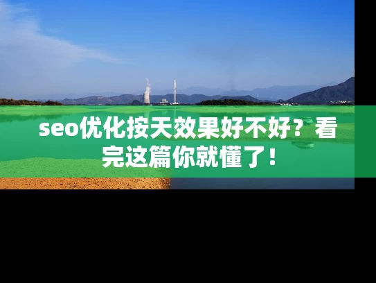 seo优化按天效果好不好？看完这篇你就懂了！