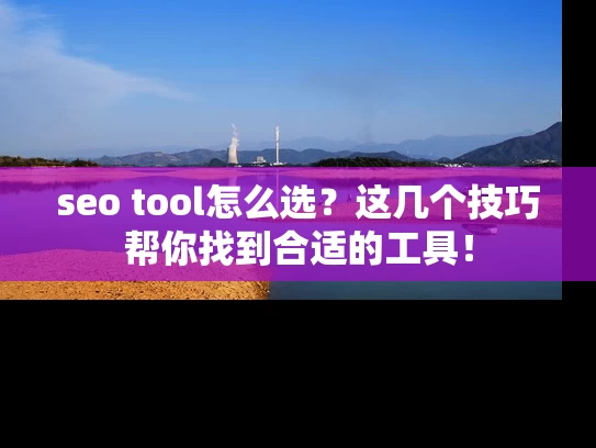 seo tool怎么选？这几个技巧帮你找到合适的工具！