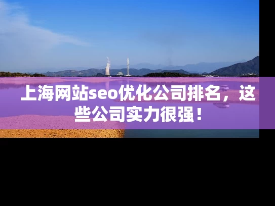 上海网站seo优化公司排名，这些公司实力很强！