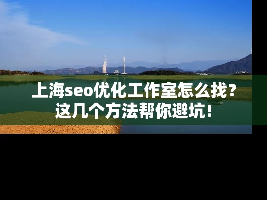 上海seo优化工作室怎么找？这几个方法帮你避坑！