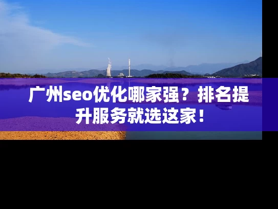 广州seo优化哪家强？排名提升服务就选这家！
