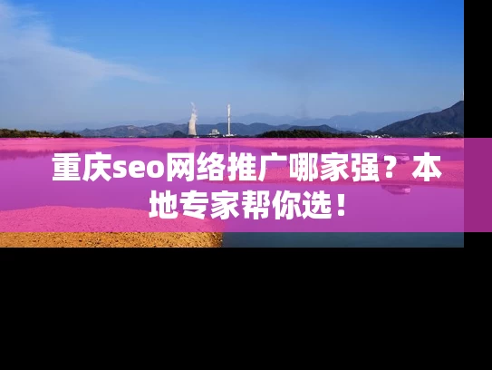 重庆seo网络推广哪家强？本地专家帮你选！