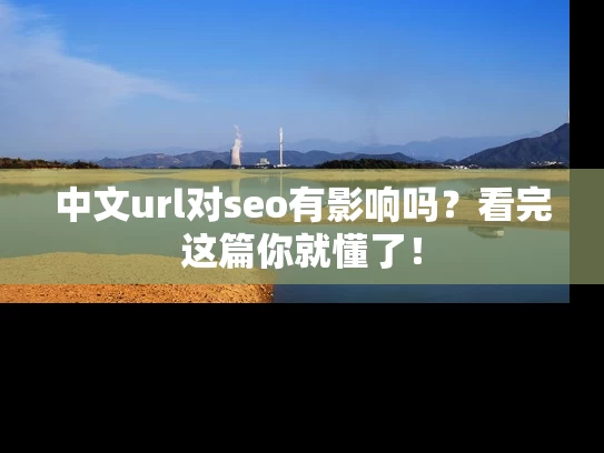中文url对seo有影响吗？看完这篇你就懂了！