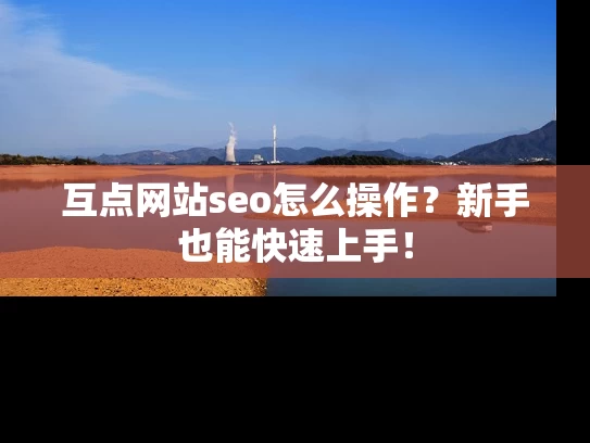 互点网站seo怎么操作？新手也能快速上手！