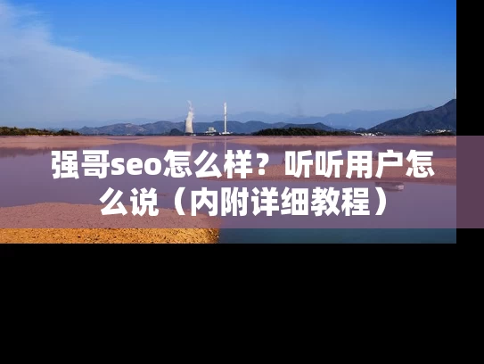 强哥seo怎么样？听听用户怎么说（内附详细教程）