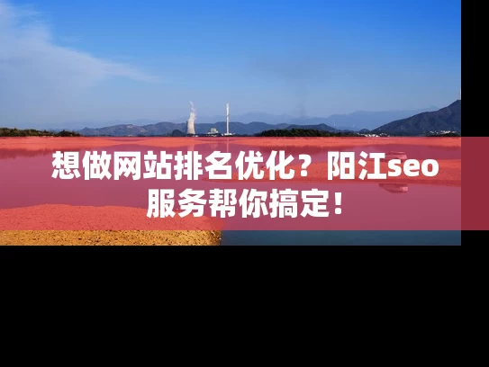 想做网站排名优化？阳江seo服务帮你搞定！
