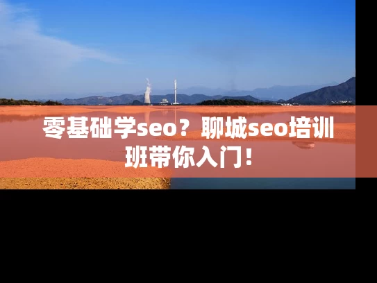 零基础学seo？聊城seo培训班带你入门！