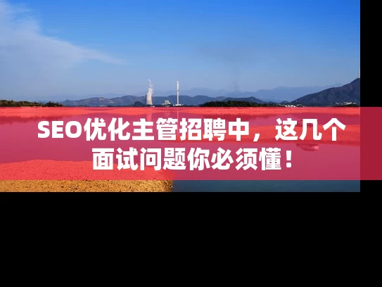 SEO优化主管招聘中，这几个面试问题你必须懂！