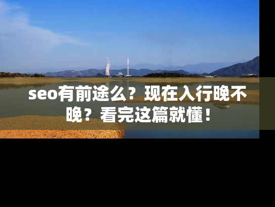 seo有前途么？现在入行晚不晚？看完这篇就懂！