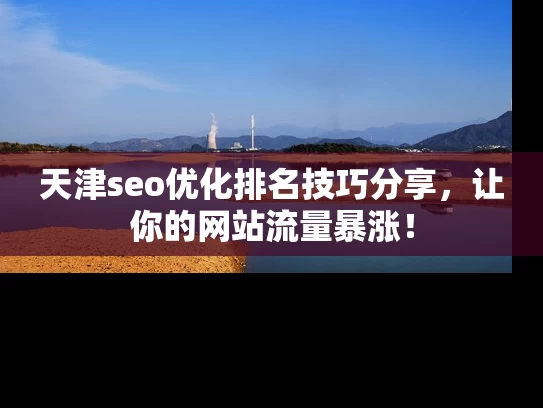 天津seo优化排名技巧分享，让你的网站流量暴涨！