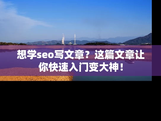 想学seo写文章？这篇文章让你快速入门变大神！