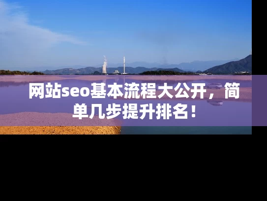 网站seo基本流程大公开，简单几步提升排名！