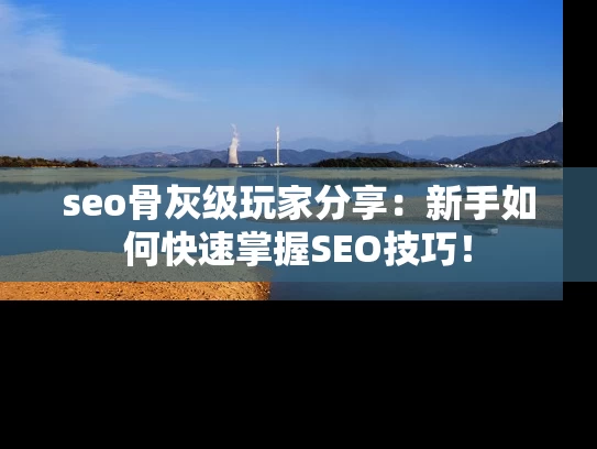 seo骨灰级玩家分享：新手如何快速掌握SEO技巧！
