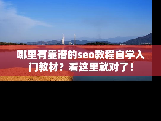哪里有靠谱的seo教程自学入门教材？看这里就对了！