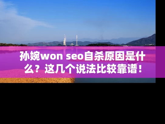 孙婉won seo自杀原因是什么？这几个说法比较靠谱！