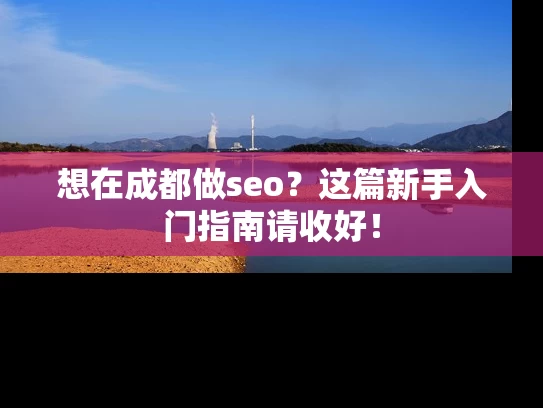 想在成都做seo？这篇新手入门指南请收好！