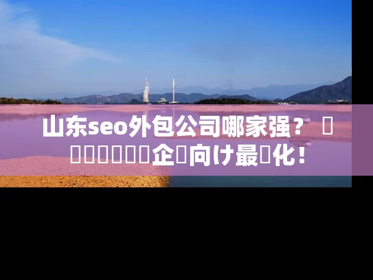 山东seo外包公司哪家强？ স্থানীয়企業向け最適化！