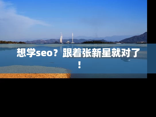 想学seo？跟着张新星就对了！